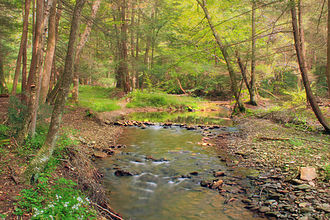 Stock Photo-Hyner Run State Park